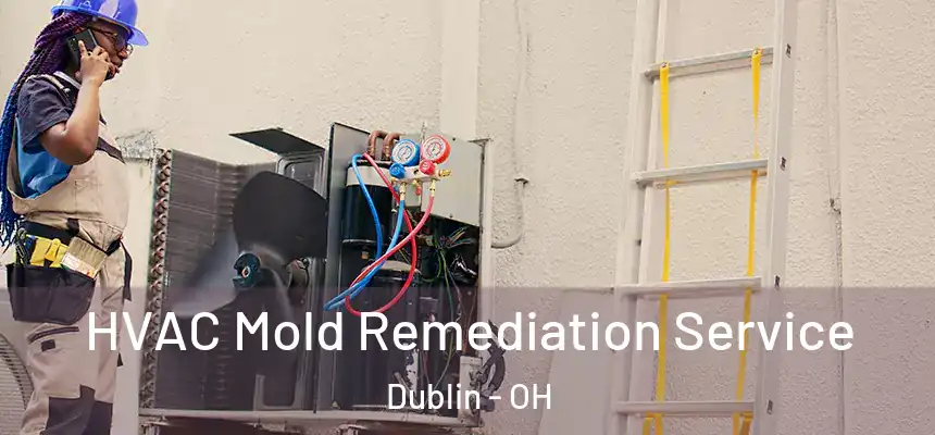  HVAC Mold Remediation Service Dublin - OH