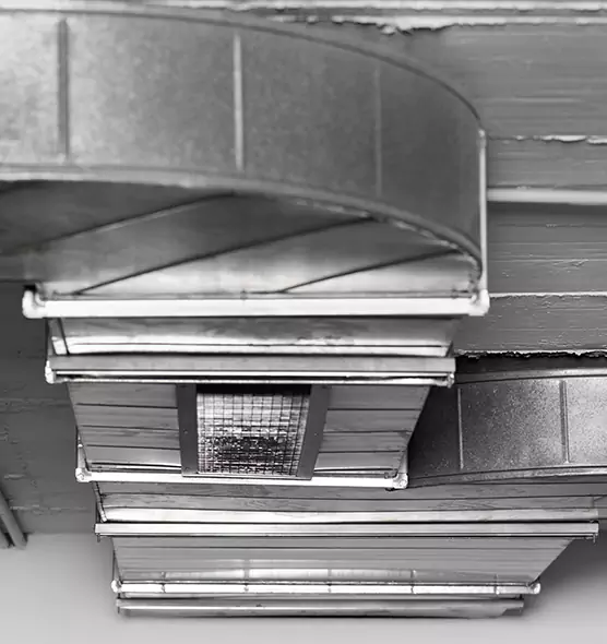 Professional Air Duct Pet Hair Removal in Dublin, OH