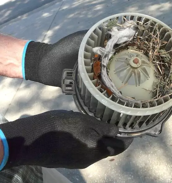 About Air Duct Rat Removal in Dublin, OH