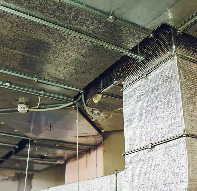 Why Homeowners & Businesses Trust Us in Dublin, OH?